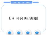北师大版九年级数学上第四章图形的相似4.6利用相似三角形测高习题课件