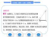 北师大版九年级数学上第四章图形的相似4.6利用相似三角形测高习题课件