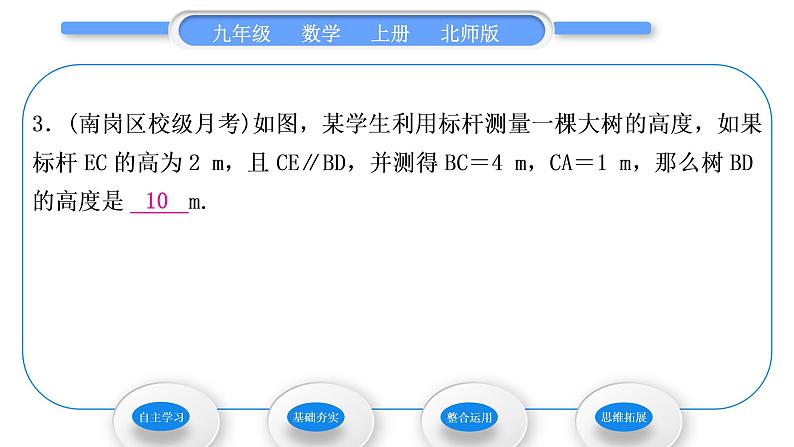 北师大版九年级数学上第四章图形的相似4.6利用相似三角形测高习题课件第8页