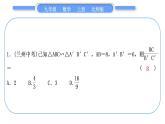 北师大版九年级数学上第四章图形的相似基本功强化训练(四)相似三角形的性质与判定习题课件