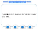 北师大版九年级数学上第四章图形的相似4.8图形的位似第1课时位似的概念及其性质习题课件
