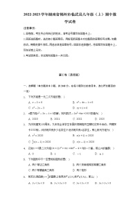 2022-2023学年湖南省郴州市临武县九年级（上）期中数学试卷（含解析）