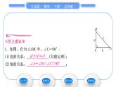 北师大版九年级数学下第一章直角三角形的边角关系1.4解直角三角形习题课件