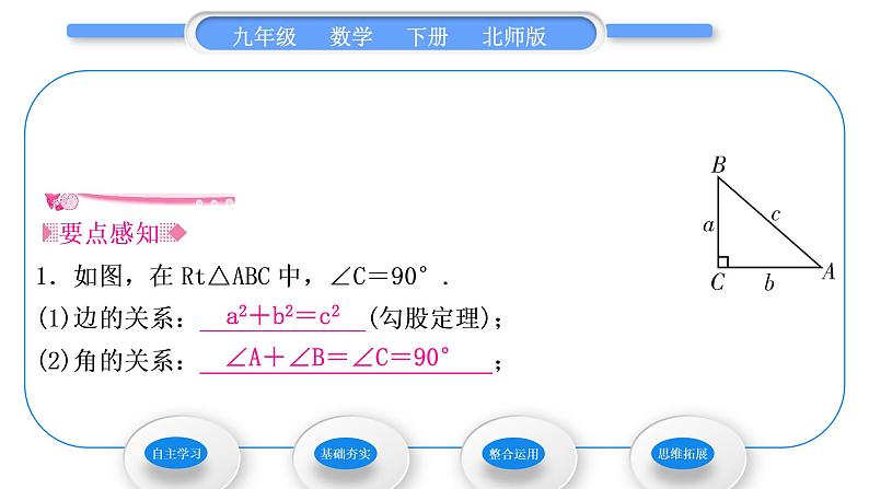 北师大版九年级数学下第一章直角三角形的边角关系1.4解直角三角形习题课件02