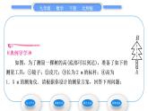 北师大版九年级数学下第一章直角三角形的边角关系1.6利用三角函数测高习题课件