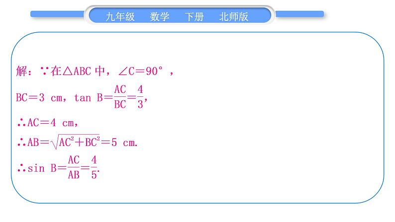 北师大版九年级数学下第一章直角三角形的边角关系知能素养小专题(一)求锐角三角函数值的方法习题课件07