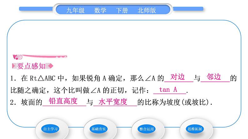 北师大版九年级数学下第一章直角三角形的边角关系1.1锐角三角函数第1课时正切习题课件第2页