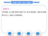 北师大版九年级数学下第三章圆3.8圆内接正多边形习题课件