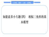 北师大版九年级数学上第四章图形的相似知能素养小专题(四)相似三角形的基本模型习题课件