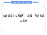 北师大版九年级数学上第四章图形的相似知能素养小专题(四)相似三角形的基本模型习题课件