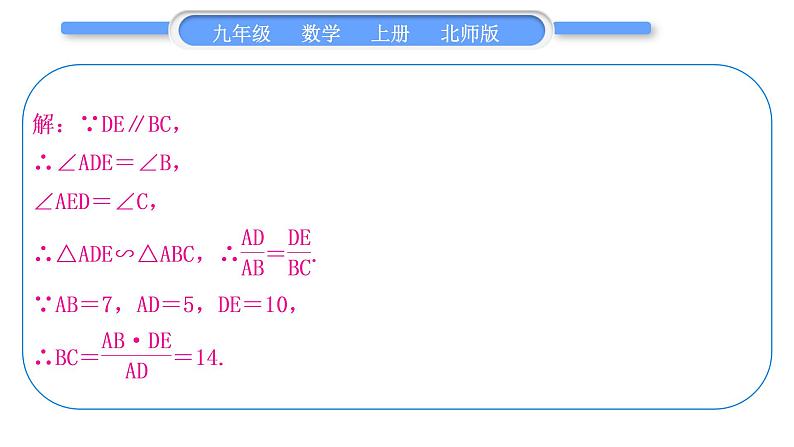 北师大版九年级数学上第四章图形的相似知能素养小专题(四)相似三角形的基本模型习题课件第5页