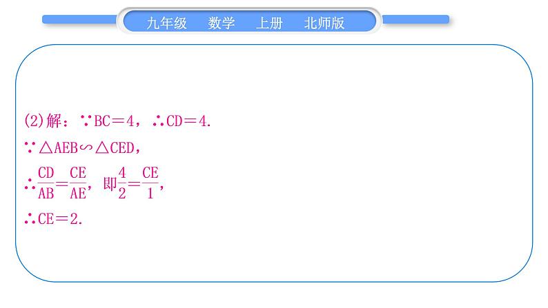 北师大版九年级数学上第四章图形的相似知能素养小专题(四)相似三角形的基本模型习题课件第8页