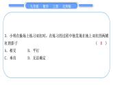 北師大版九年級數(shù)學(xué)上第五章投影與視圖章末復(fù)習(xí)與提升習(xí)題課件