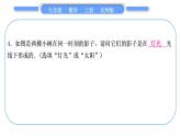 北師大版九年級數(shù)學(xué)上第五章投影與視圖章末復(fù)習(xí)與提升習(xí)題課件