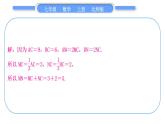 北师大版七年级数学上第四章基本平面图形知能素养小专题(三)　线段长度的计算——线段P111“做一做”的变式与应用习题课件