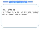 北师大版七年级数学上第五章一元一次方程基本功强化训练(五)　一元一次方程的应用习题课件