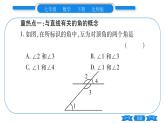 北师大版七年级数学下第2章相交线与平行线第二章中考重热点突破习题课件
