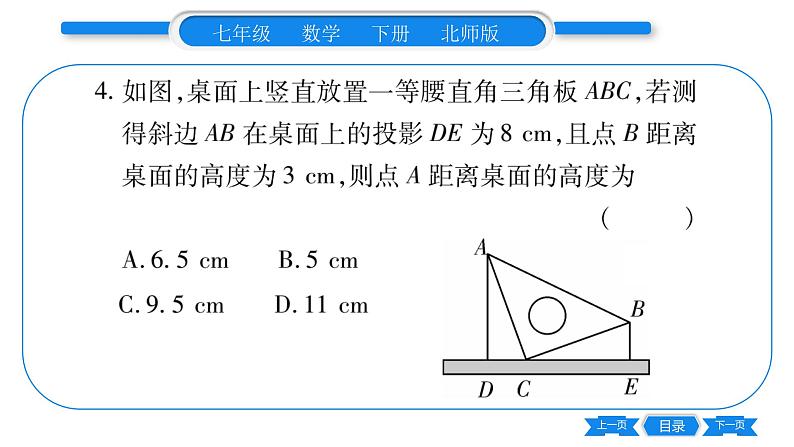 北师大版七年级数学下第4章三角形利用三角形全等测距离习题课件第5页