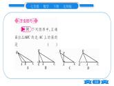 北师大版七年级数学下第4章三角形认识三角形第4课时三角形的高习题课件