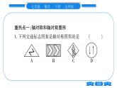 北师大版七年级数学下第5章生活中的轴对称第五章中考重热点突破习题课件