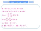 北师大版九年级数学下第一章直角三角形的边角关系知能素养小专题(三)三角函数的应用——教材变式与拓展(一)习题课件