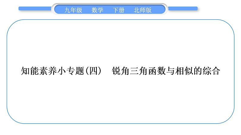 北师大版九年级数学下第一章直角三角形的边角关系知能素养小专题(四)锐角三角函数与相似的综合习题课件第1页