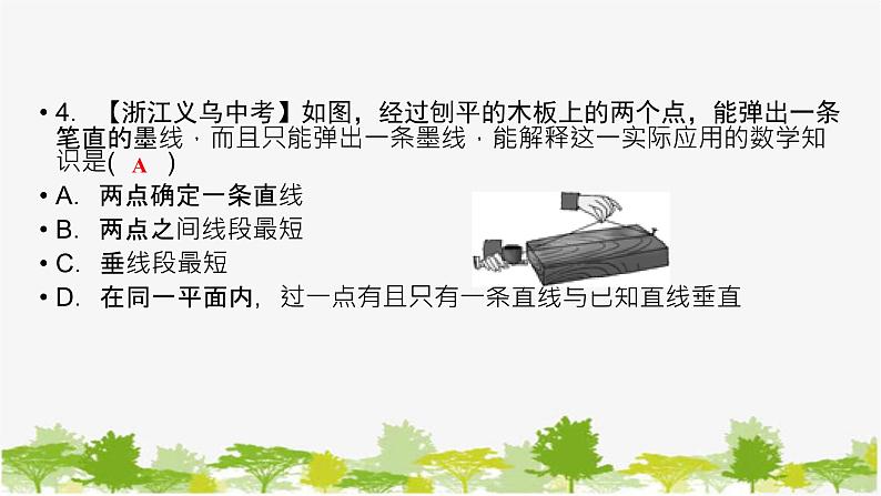 6.2 线段、射线和直线 浙教版七年级数学上册课件06