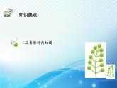 沪科版数学九下第24章 24.5三角形的内切圆教学课件