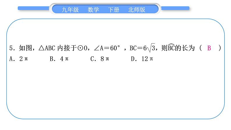 北师大版九年级数学下期末复习专题八圆习题课件06