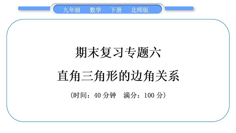 北师大版九年级数学下期末复习专题六直角三角形的边角关系习题课件第1页