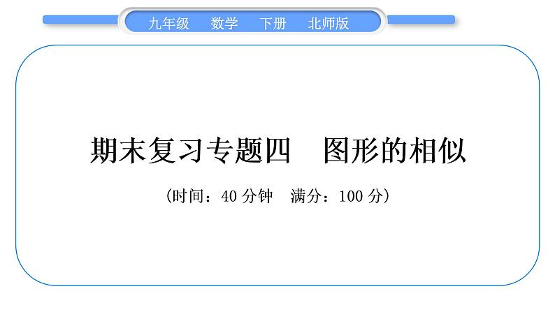北师大版九年级数学下期末复习专题四图形的相似习题课件01