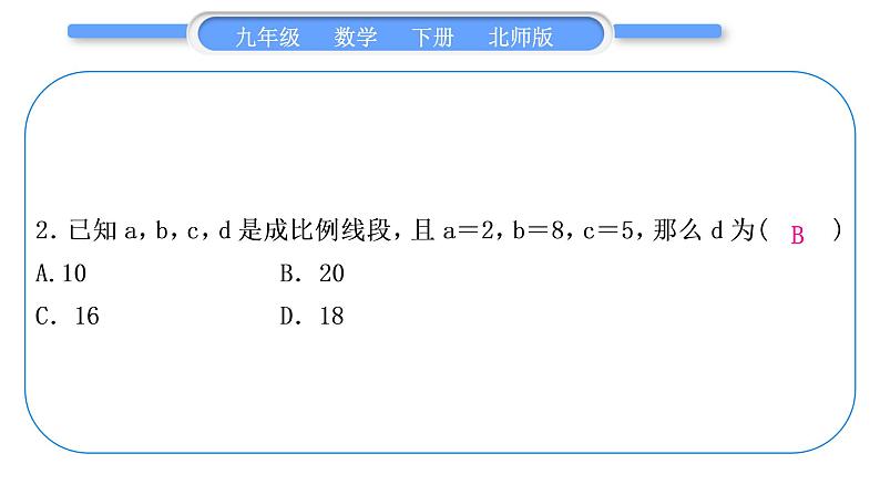 北师大版九年级数学下期末复习专题四图形的相似习题课件03