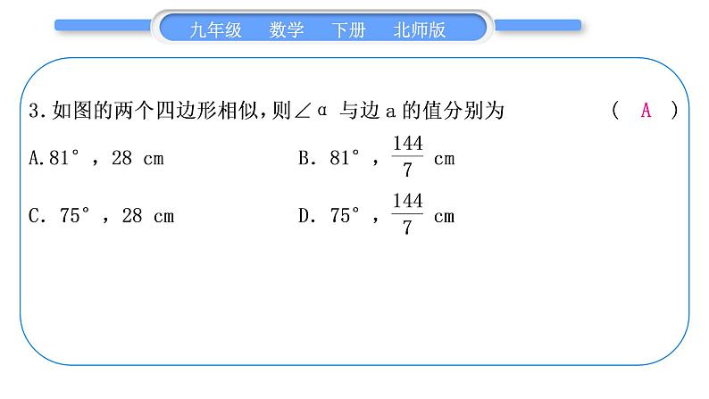 北师大版九年级数学下期末复习专题四图形的相似习题课件04