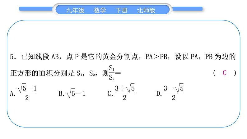 北师大版九年级数学下期末复习专题四图形的相似习题课件06