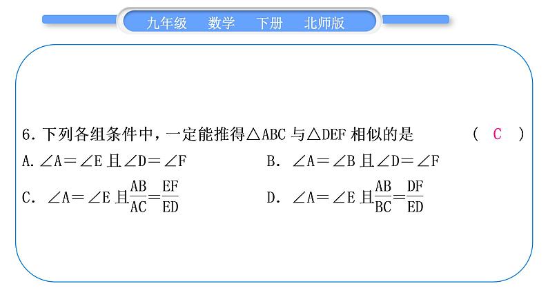 北师大版九年级数学下期末复习专题四图形的相似习题课件07