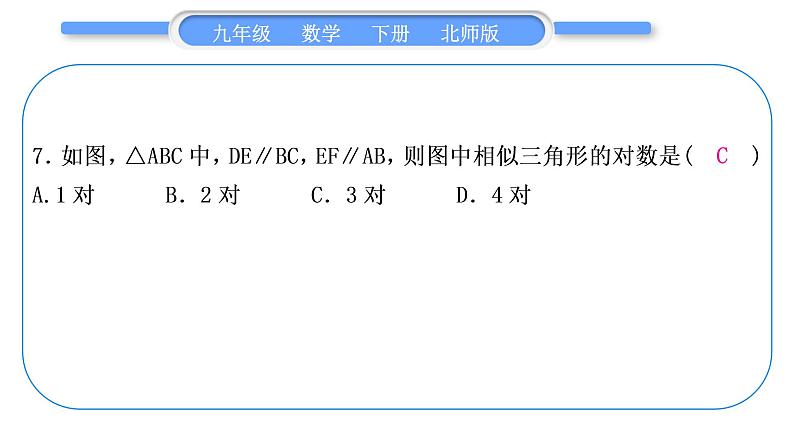 北师大版九年级数学下期末复习专题四图形的相似习题课件08