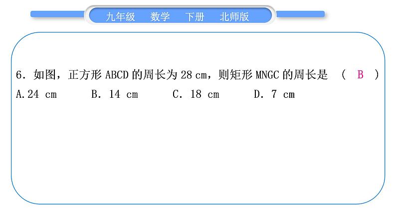 北师大版九年级数学下期末复习专题一特殊平行四边形习题课件07