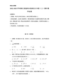 2022-2023学年浙江省温州市苍南县七年级（上）期中数学试卷（含解析）