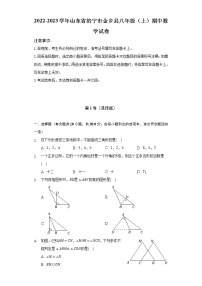 2022-2023学年山东省济宁市金乡县八年级（上）期中数学试卷（含解析）