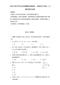 2022-2023学年山东省聊城市临清市、东阿县九年级（上）期中数学试卷（含解析）