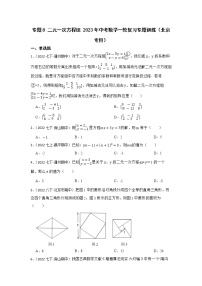 专题8 二元一次方程组 2023年中考数学一轮复习专题训练（北京专用）