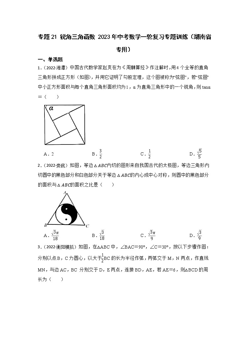 专题21 锐角三角函数 2023年中考数学一轮复习专题训练（湖南省专用）第1页