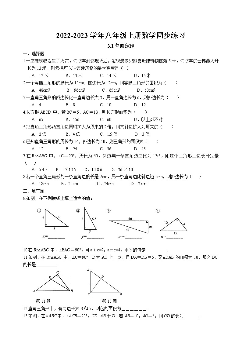 3.1 勾股定理同步练习 2022-2023学年苏科版数学八年级上册01