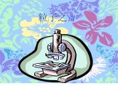 浙教版数学初一数学开学第一课导言课课件