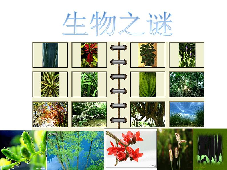 浙教版数学初一数学开学第一课导言课课件第7页