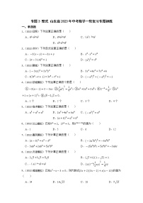 专题3 整式 山东省2023年中考数学一轮复习专题训练