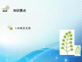 沪科版数学九下第24章 24.4直线与圆的位置关系第3课时切线长定理教学课件