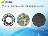 滬科版數(shù)學(xué)九下第24章 24.2圓的基本性質(zhì)第1課時與圓有關(guān)的概念教學(xué)課件