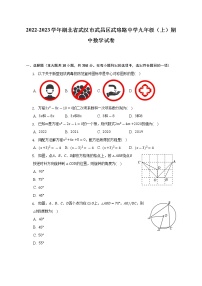 2022-2023学年湖北省武汉市武昌区武珞路中学九年级（上）期中数学试卷（含解析）