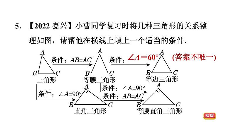 中考数学复习第17课时特殊三角形课后练课件07